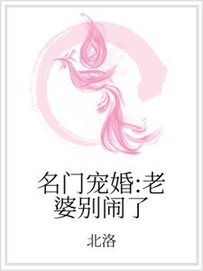 《名门宠婚:老婆别闹了》