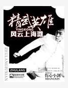 精武英雄风云上海滩
