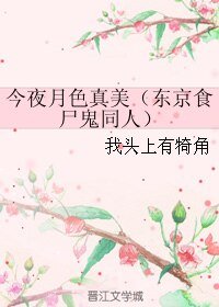 （东京食尸鬼同人）今夜月色真美（东京食尸鬼同人）