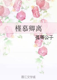 槿慕卿离