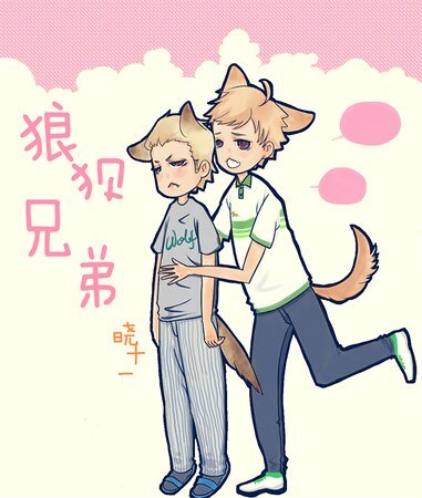 狼狈兄弟