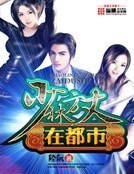 少林方丈在都市