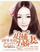宠溺无边，追捕小娇妻