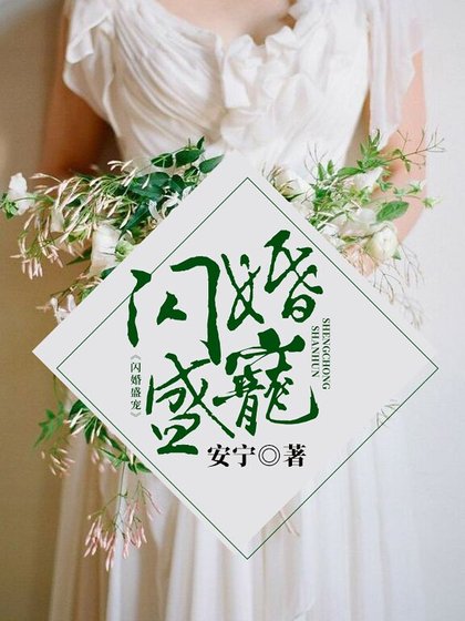 闪婚盛宠