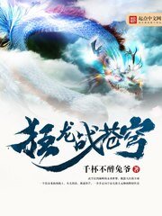 《狂龙战苍穹》