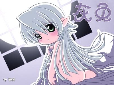 灰兔