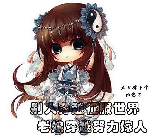 （综同人）综别人穿越征服世界，老娘穿越努力嫁人