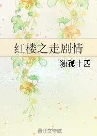 （红楼同人）红楼之走剧情