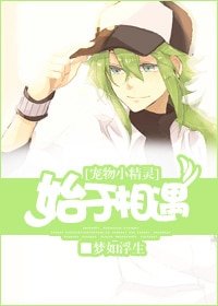 （宠物小精灵同人）始于相遇