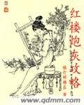 （红楼同人）红楼炮灰攻略