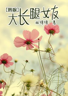 （韩娱同人）韩娱之大长腿女友