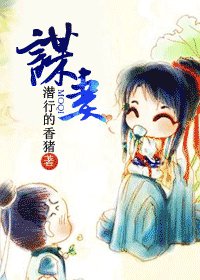 谋妻