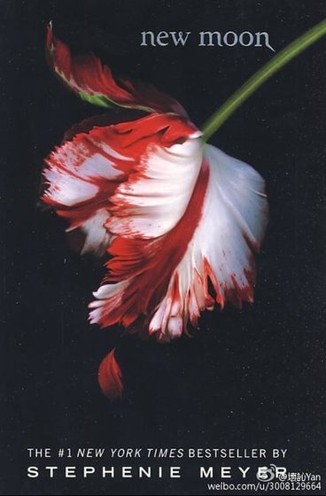 （暮光同人）[暮光]假如和你相遇