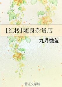 （红楼同人）[红楼]随身杂货店