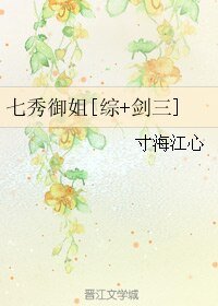 （综同人）七秀御姐