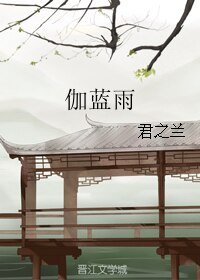 伽蓝雨