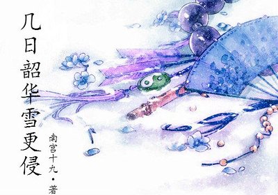 （霹雳同人）几日韶华雪更侵