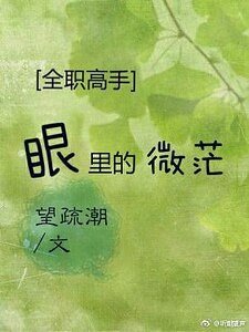 （全职高手同人）[全职]眼里的微茫