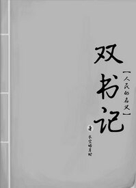 （人民的名义同人）[人民的名义]双书记