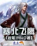 塞北飞鹰