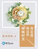 你是我错过的倾城时光
