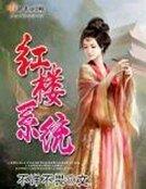 《红楼系统》