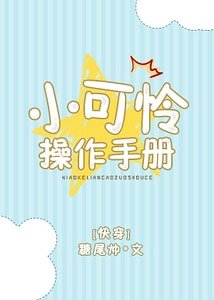 《小可怜操作手册》