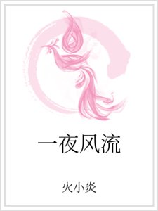 一夜风流