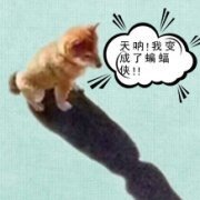 重生之愿望成真