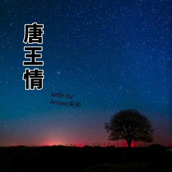乱世唐王情