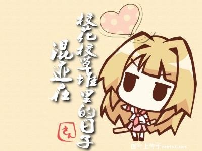 混迹在校花校草堆里的日子