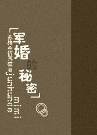 军婚的秘密/你的诺言，我的沧海（网络版+出书版）