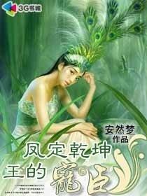《凤定乾坤:王的宠臣》