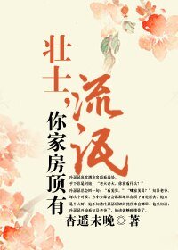 壮士，你家房顶有流氓