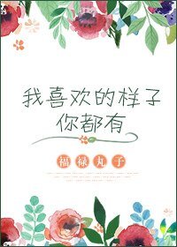 我喜欢的样子你都有（网络版）