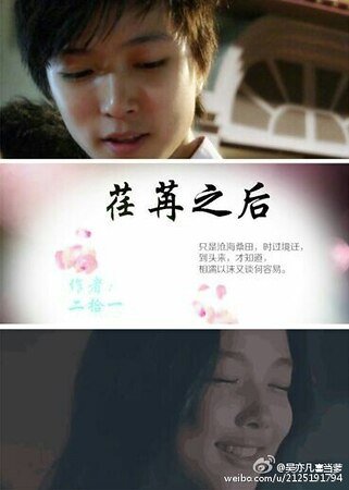 荏苒之后
