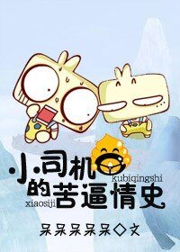 《小司机的苦逼情史》