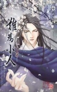 双绝外传之难为小人（出书版）