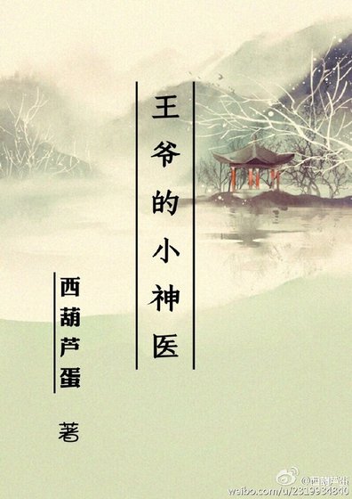 王爷的小神医