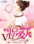 完美婚宠：帝少vip爱人