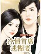 冷情首席迷糊妻