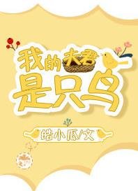 我的夫君是只鸟