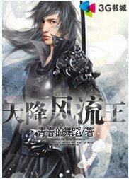 天降风流王