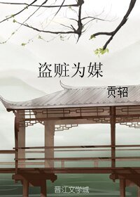 盗赃为媒