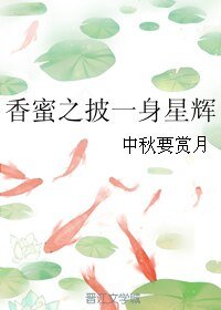 （香蜜同人）香蜜之披一身星辉