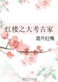 （红楼同人）红楼之大考古家