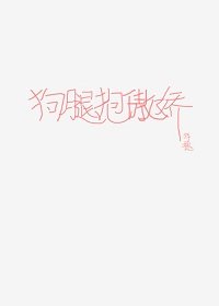 狗腿抱傲娇
