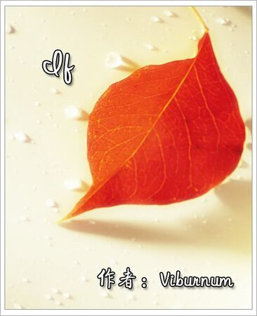 （彩虹同人）If...