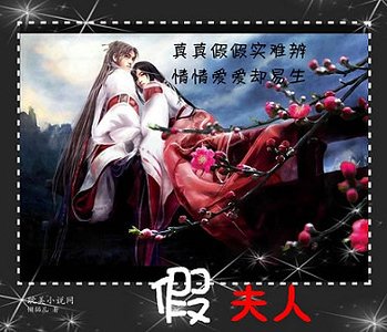 假夫人
