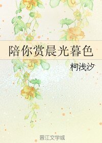 陪你赏晨光暮色
